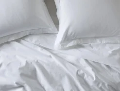 Online Coyuchi Cloud Brushed™ Organic Flannel Sham
