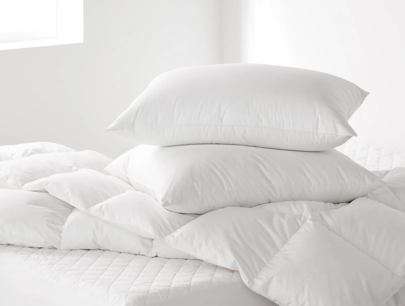 New Coyuchi Down Feather Pillow White