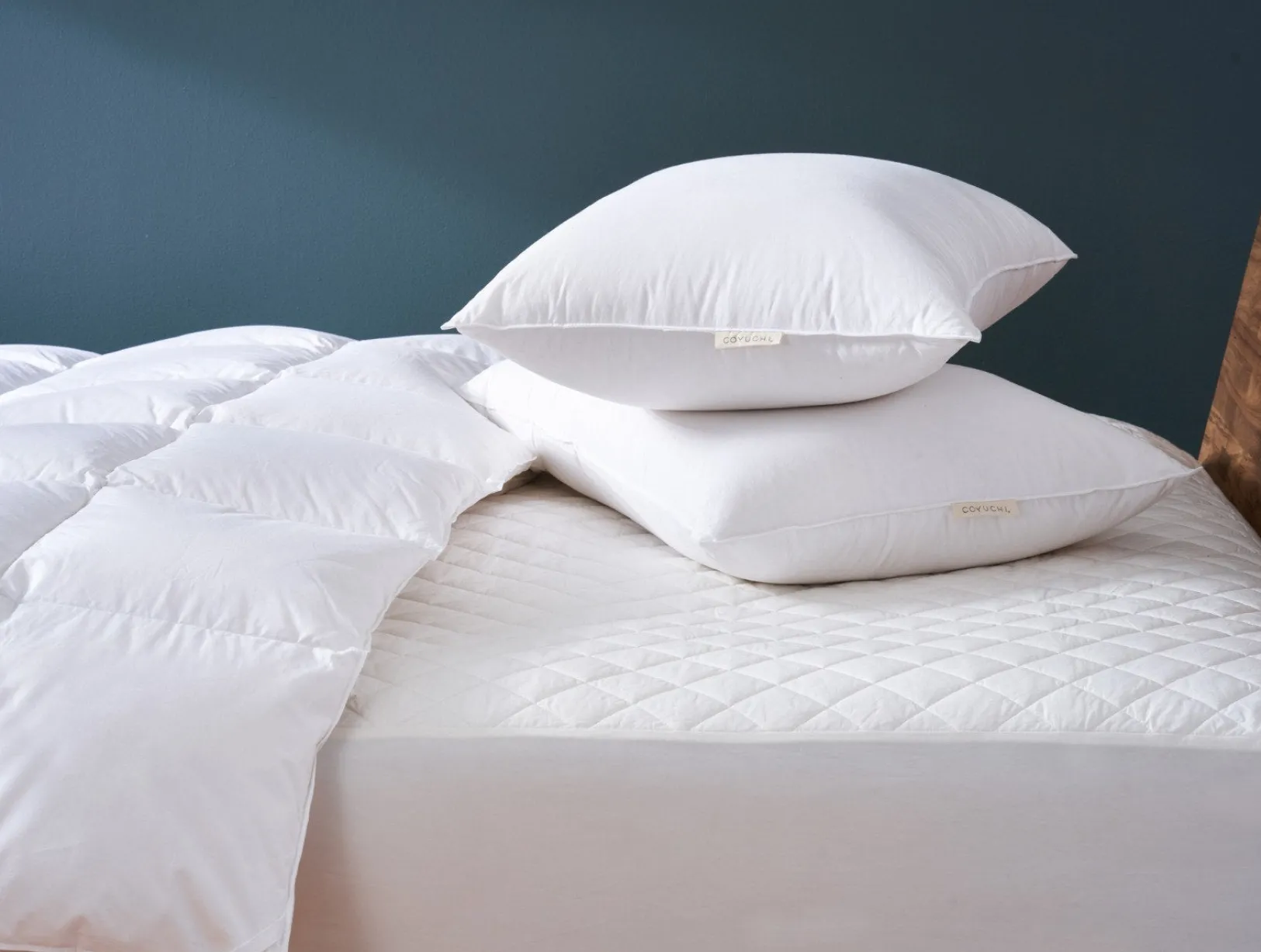New Coyuchi Down Pillow White
