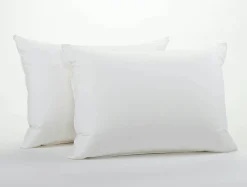 Fashion Coyuchi Down Pillow + Washable Wool Protectors Bundle