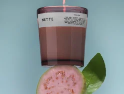 Fashion Coyuchi Nette Candle 10 oz. Guava Soda Glass