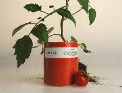 Online Coyuchi Nette Candle 10 oz. Laide Tomate Glass