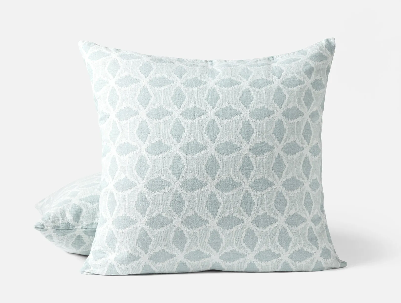 Outlet Coyuchi Palomar Organic Sham
