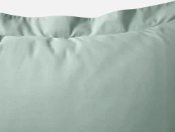 Online Coyuchi Refined Organic Percale Sham