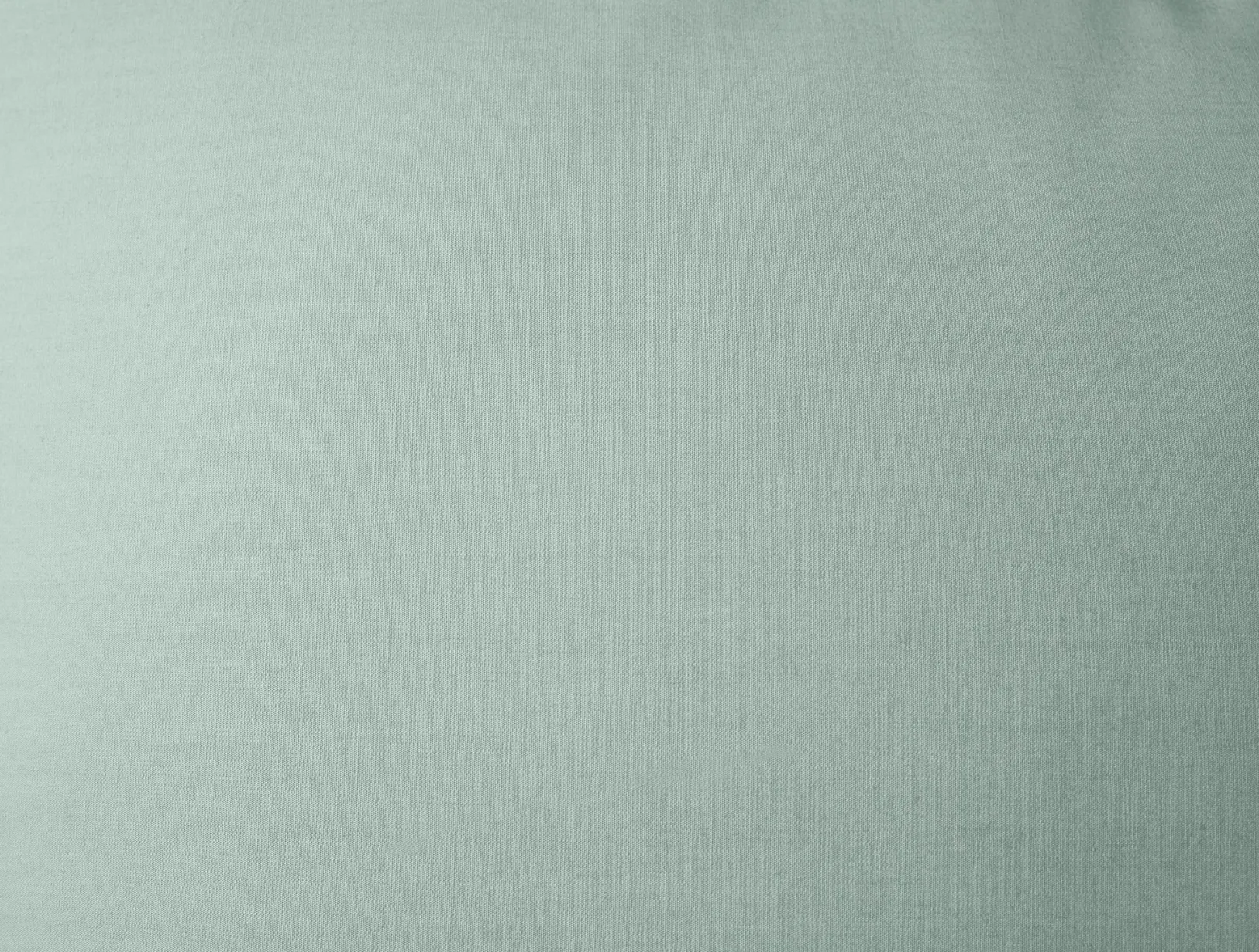 Online Coyuchi Refined Organic Percale Sham