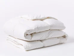 Outlet Coyuchi Three Season Down + Pillows + Protectors Bundle