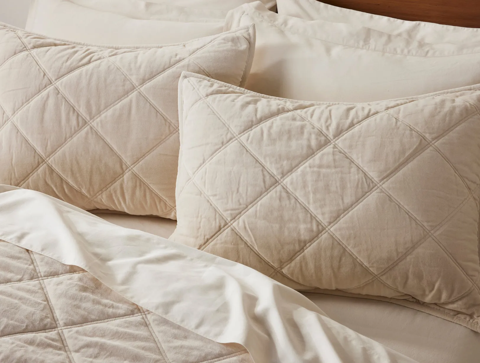 Outlet Coyuchi Velvet Organic Sham Undyed