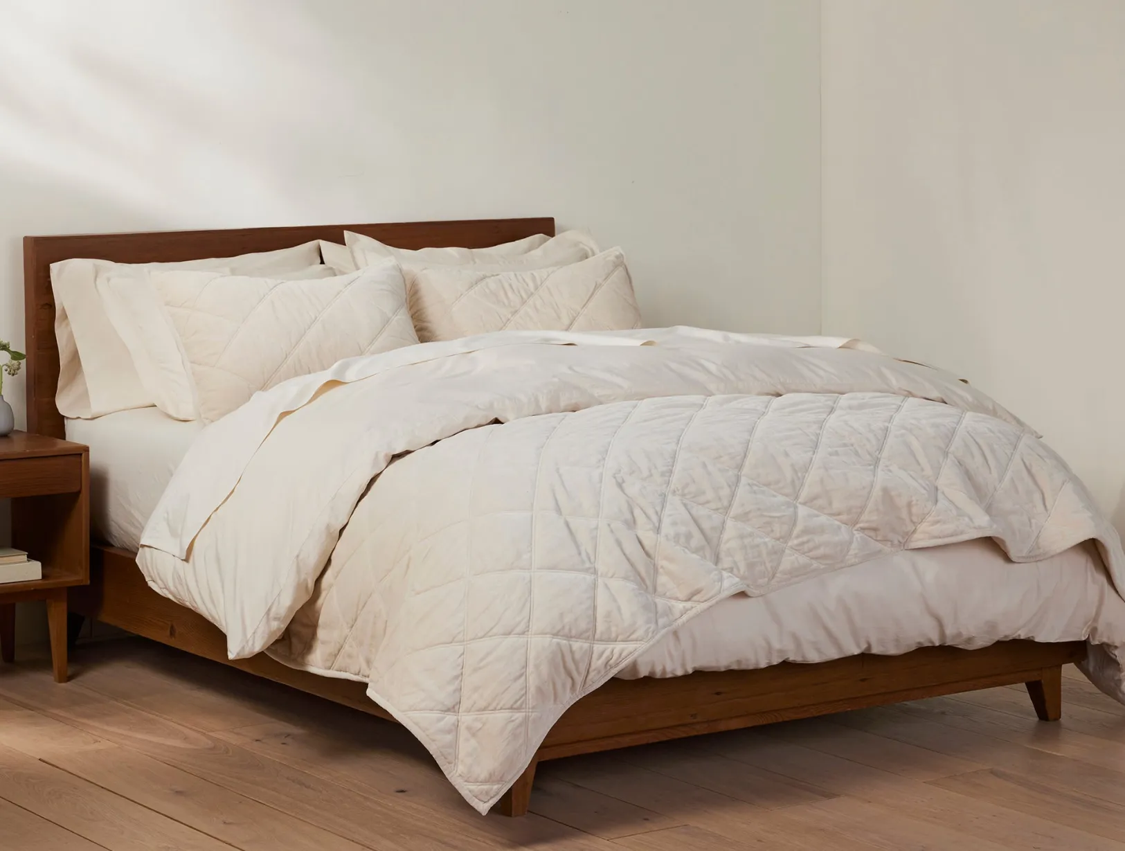 Outlet Coyuchi Velvet Organic Sham Undyed