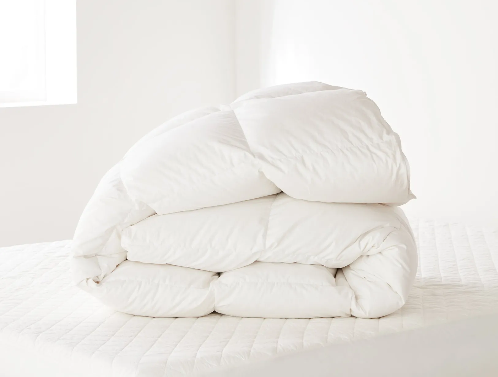 Discount Coyuchi Winter Weight Down Bed Inserts Bundle